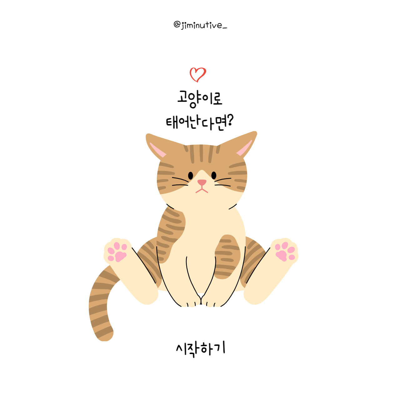 고양이 테스트